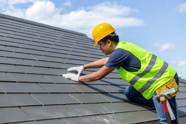 Best Storm Damage Roof Repair  in Zeeland, MI