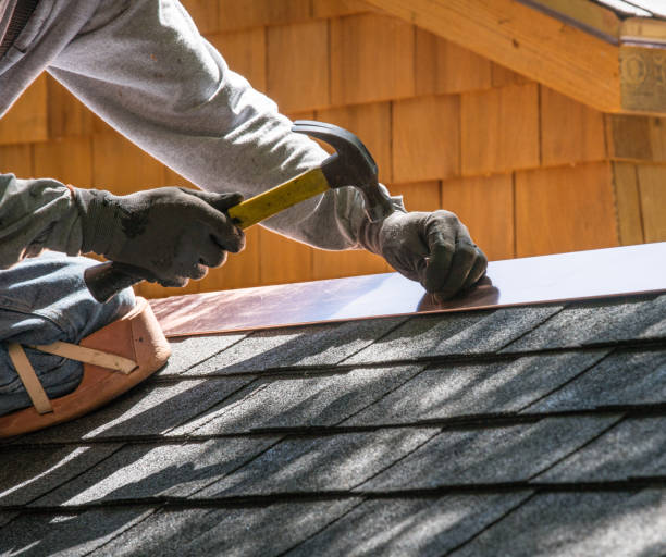 Best Residential Roofing Contractor  in Zeeland, MI